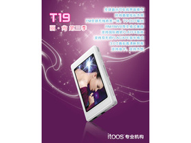 T19(4G)