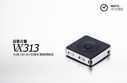 昂达VX313 2G