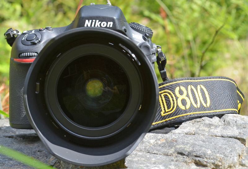 ῵D800ͼ