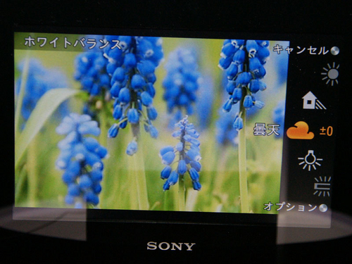 索尼EVIL NEX3定焦套机(16mm)