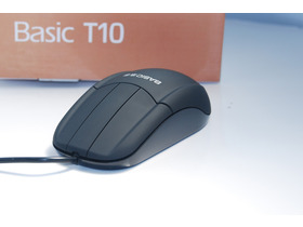 T10