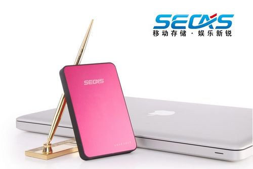 SECAS 炫飞C3 160G