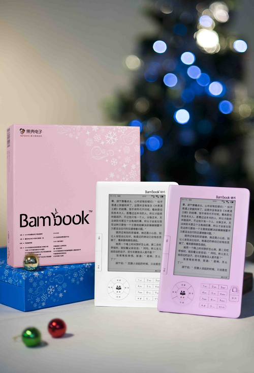 盛大Bambook白色经典版