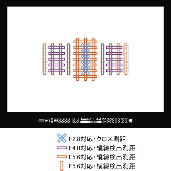 5D Mark III׻(24-70mmII)ͼ