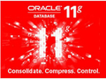甲骨文 Oracle Database 11g标准版