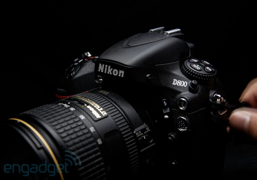 ῵D800Eͼ