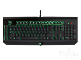 Razer BlackWidowڹѸ ռ2013