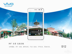 vivo S12ɣ