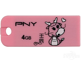 PNY(4GB)