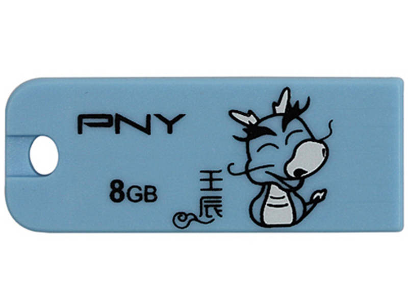 PNY龙年威盘(8GB)正面