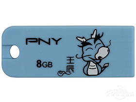 PNY(8GB)