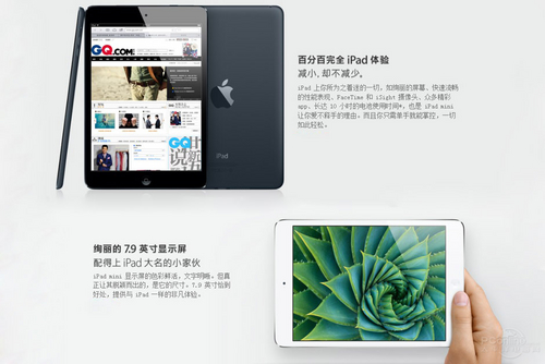 苹果iPad Mini(32G/WiFi版)