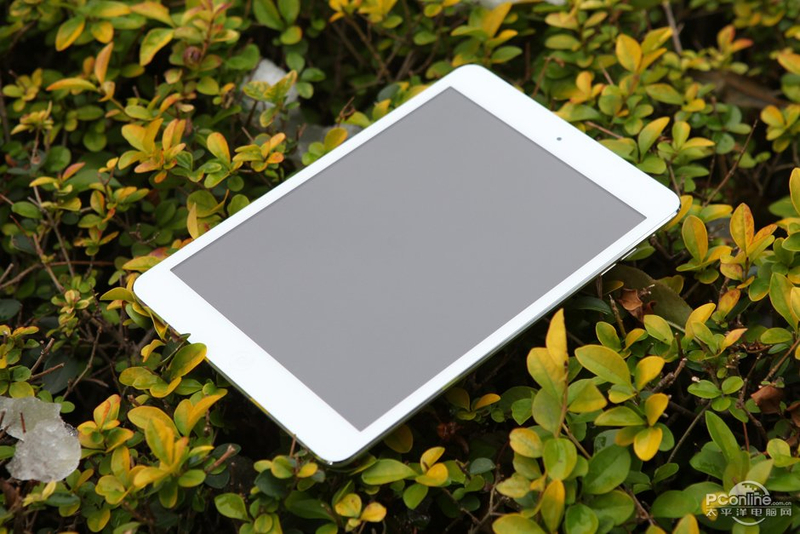 ƻiPad Mini(64G/WiFi)ͼ