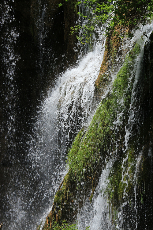 佳能EF-S 55-250mm f/4-5.6 IS STM