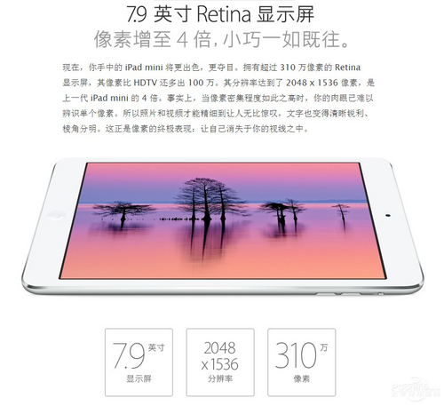 苹果iPad Mini 2(16G/Wifi版)