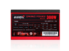 Ϸ쾯RPO300W V