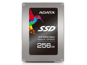 SP920 (256GB)