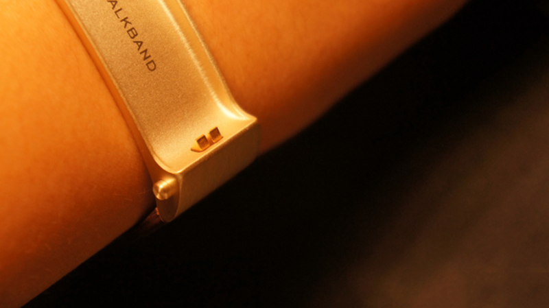 ΪҫֻTalkBand B2()ͼ