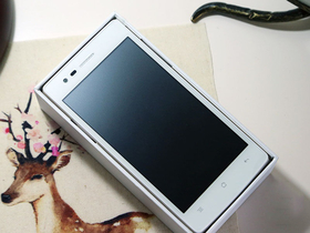 OPPO A31t