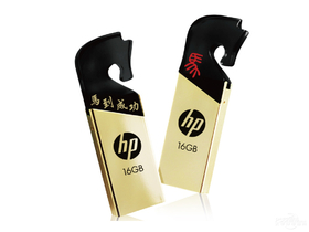 HP 219g 16GB