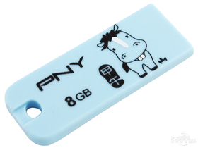 PNY 8GB