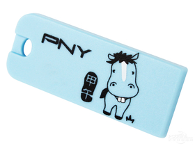 PNY 32GB