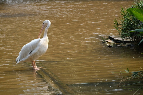 富士XF100-400mm f/4.5-5.6