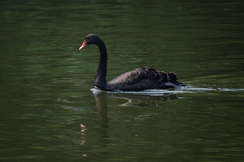 富士XF100-400mm f/4.5-5.6