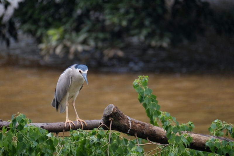 ʿXF100-400mm f/4.5-5.6ͼ