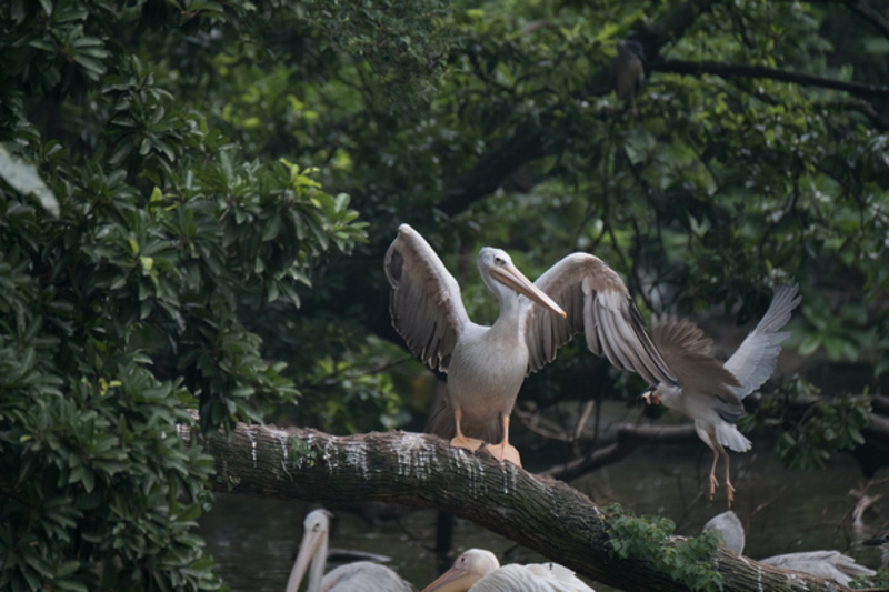 ʿXF100-400mm f/4.5-5.6ͼ