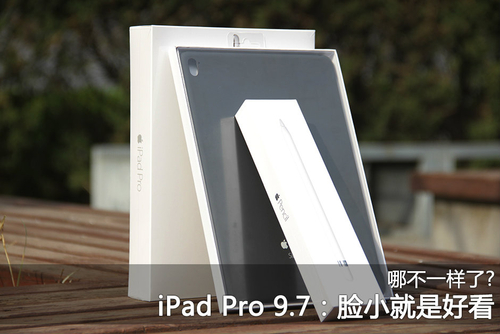 苹果9.7英寸iPad Pro(32GB/Cellular)