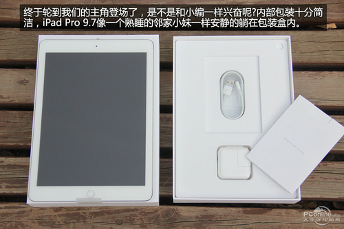 苹果iPad Pro 9.7英寸一代(32GB/WLAN) 