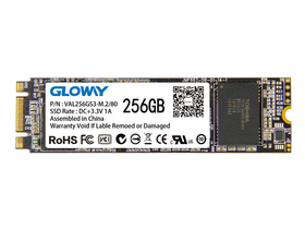  NGFF 2280 256G SSD