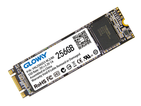  NGFF 2280 256G SSD45