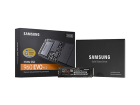 960 EVO M.2 NVMe 250G