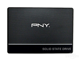 PNY CS1311b 256G