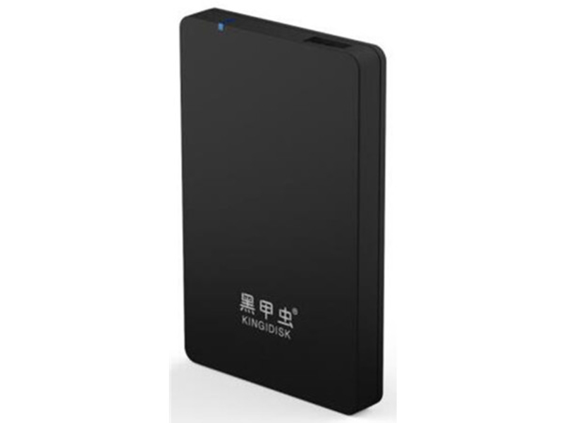 黑甲虫 H100 H系列1TB