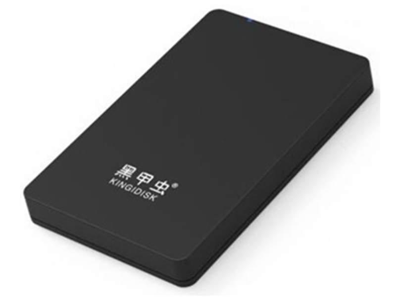 黑甲虫 H100 H系列1TB