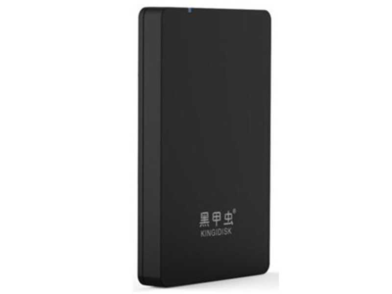 黑甲虫 H100 H系列1TB