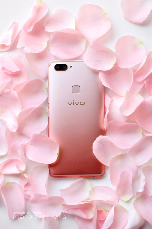 vivo X20