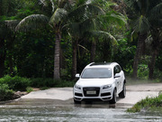 2011 3.0 TFSI M(jn)ȡ(200kW)