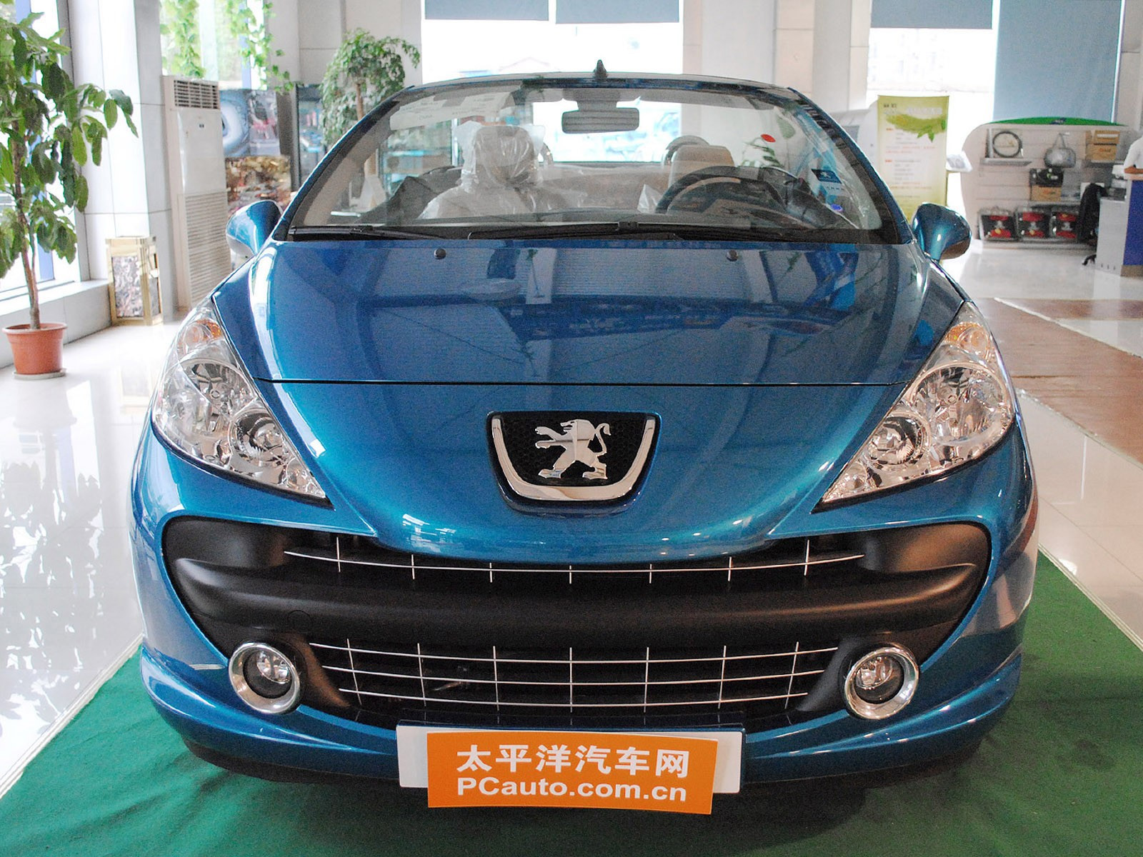 標(biāo)致207(進(jìn)口)外觀高清大圖