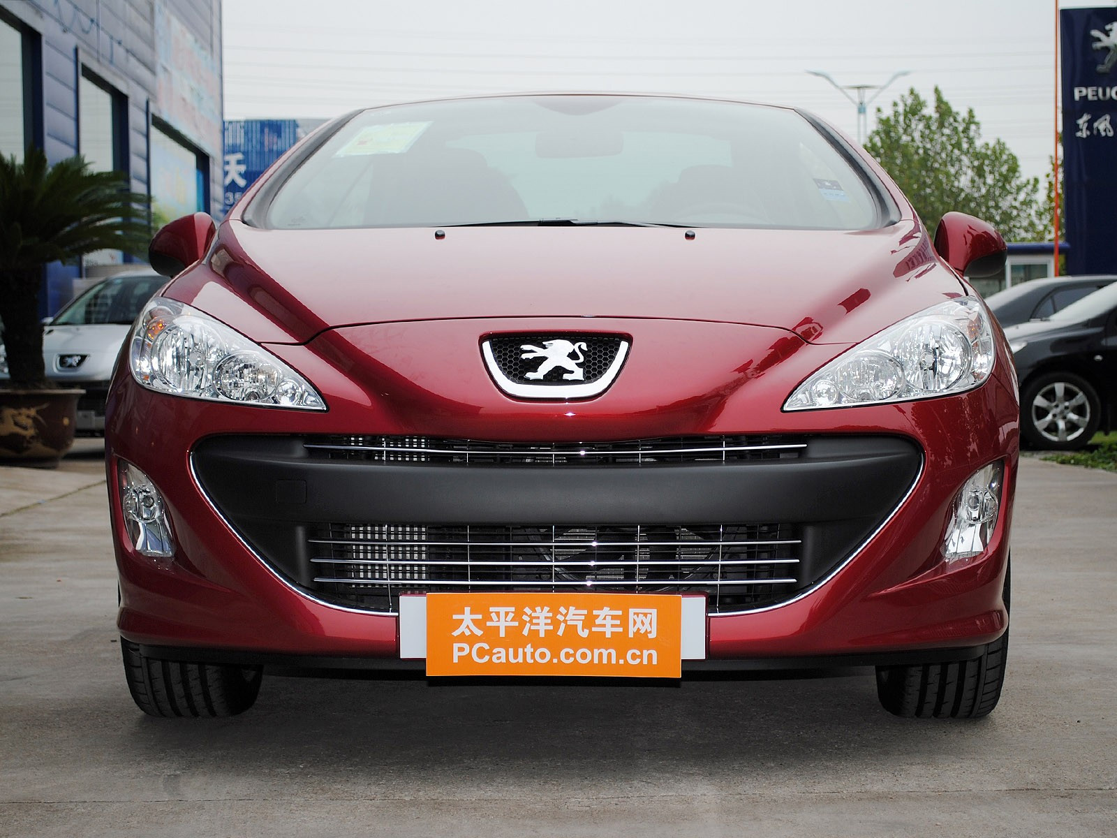 標(biāo)致308(進(jìn)口)外觀高清大圖