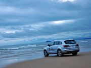 2011 3.0 TFSI m(245kW)