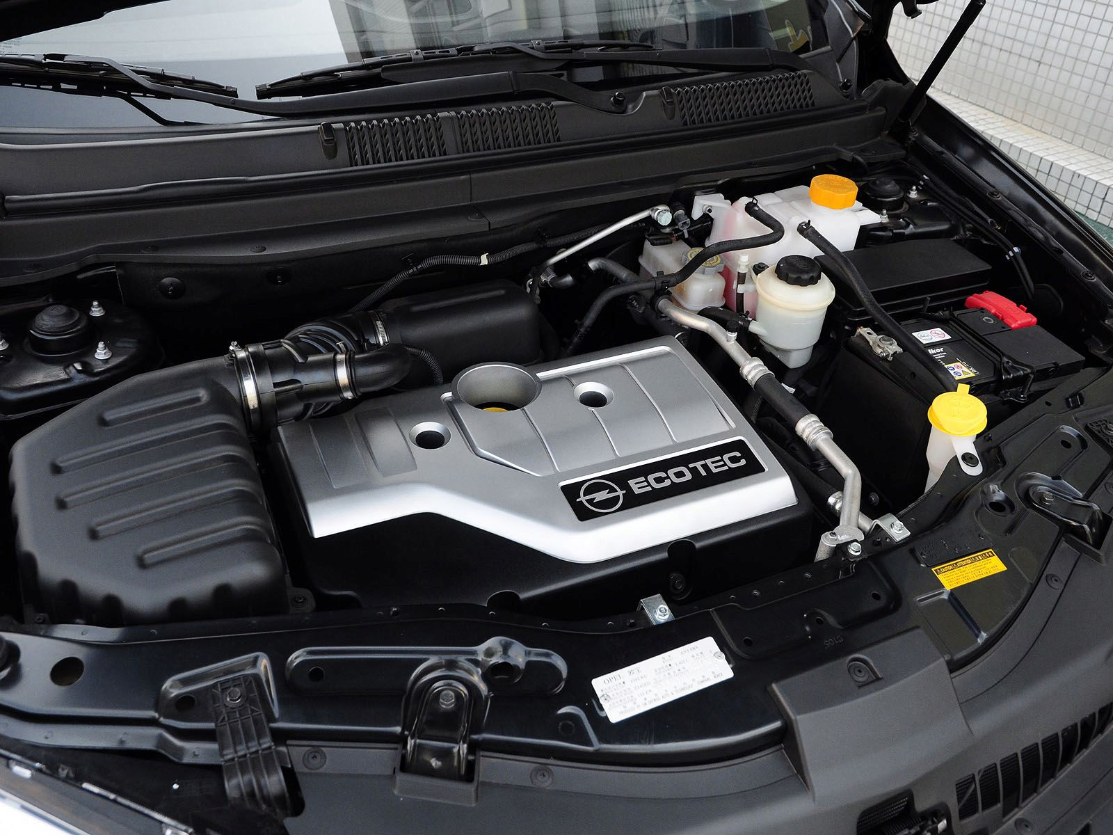 安德拉細節(jié)高清大圖