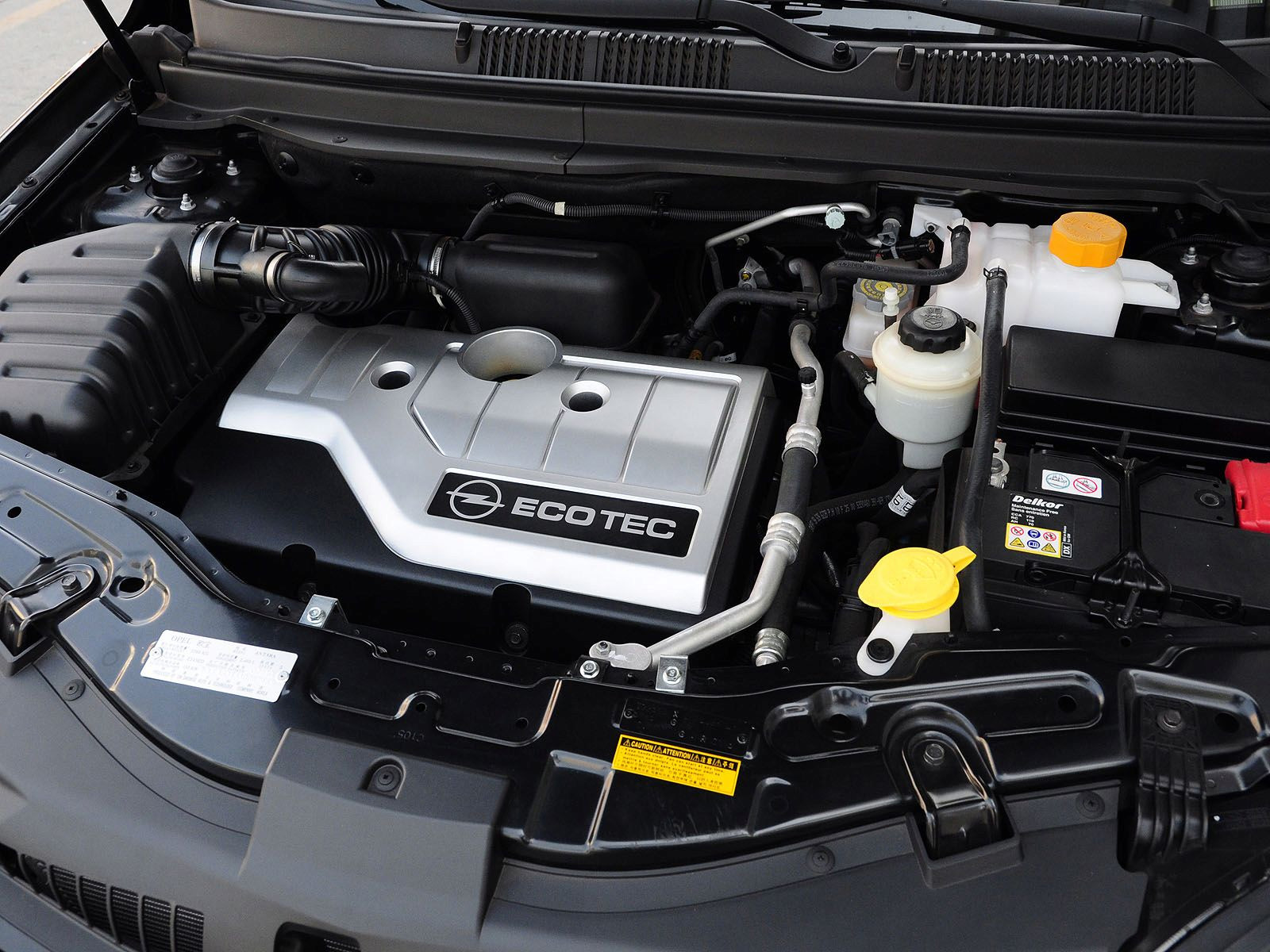 安德拉細節(jié)高清大圖