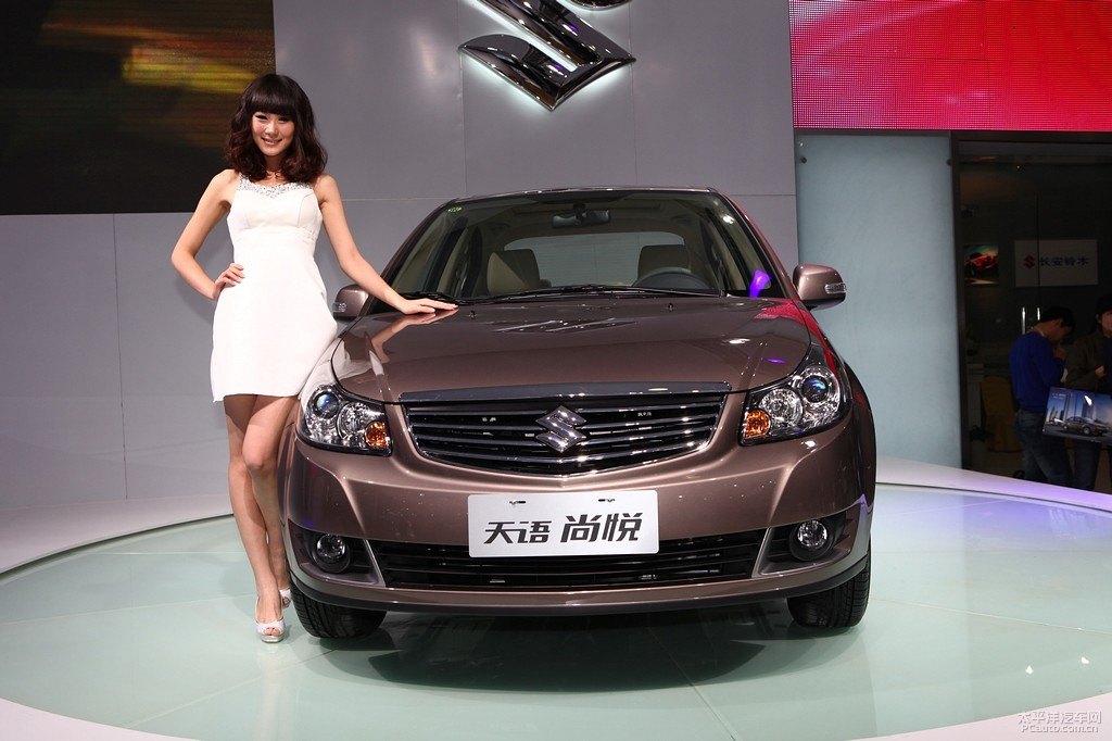 ZSX4DƬ