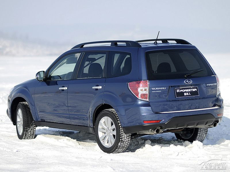 珠光海洋藍(lán)森林人外觀圖片