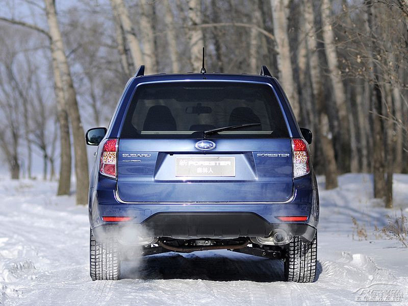 珠光海洋藍(lán)森林人外觀圖片