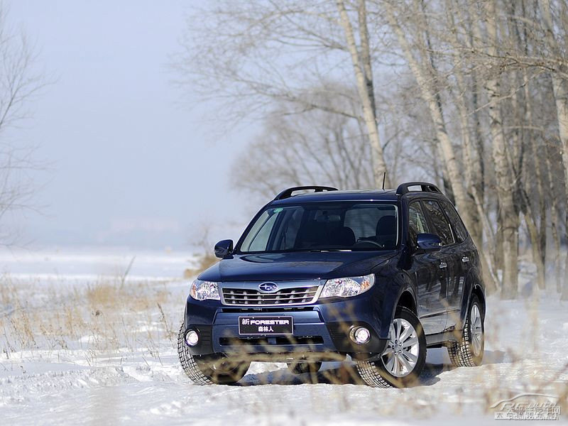 珠光海洋藍森林人外觀圖片